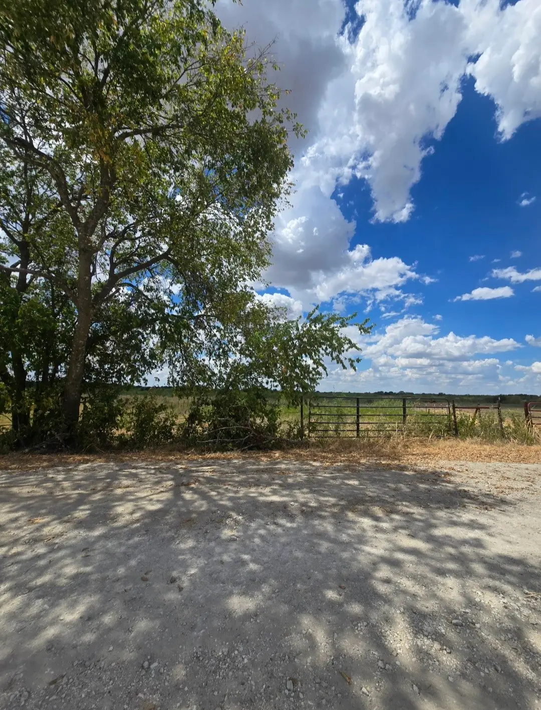 TBD NW County Rd 1300, Barry, TX 75102 - #1
