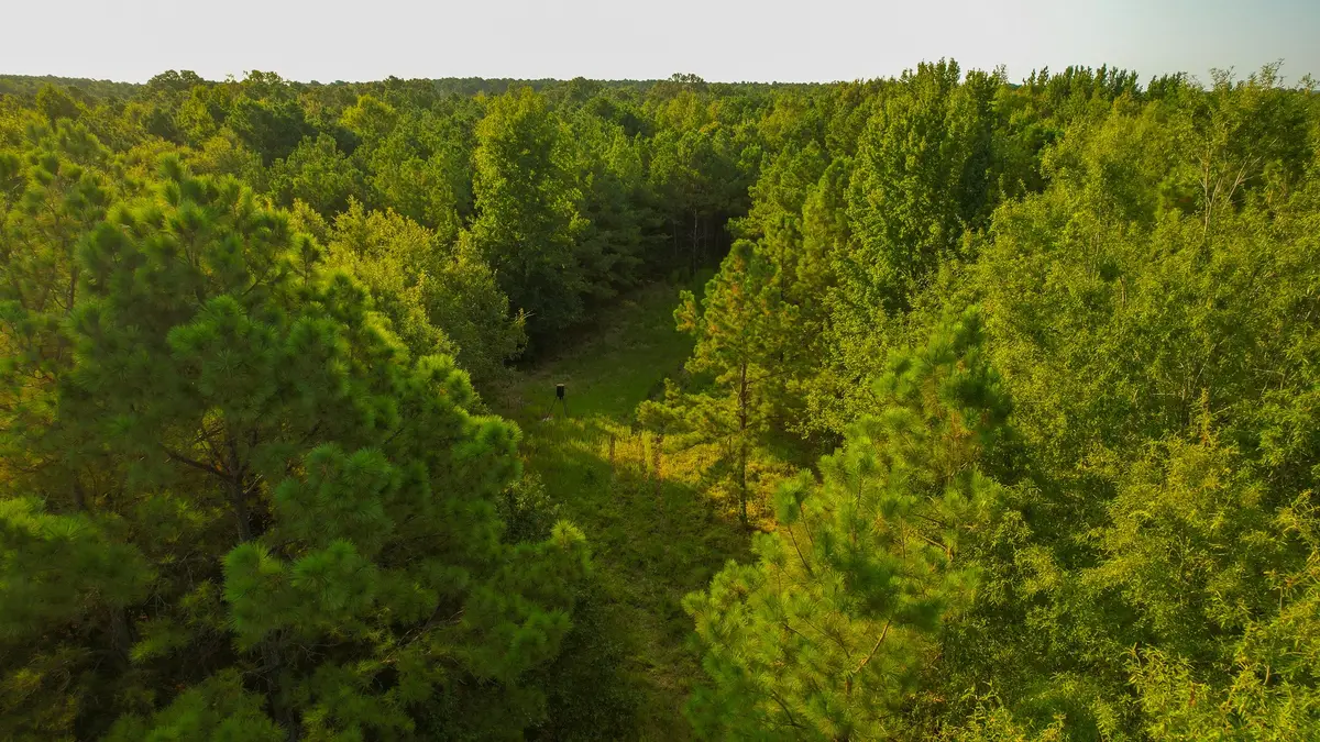 1763 Fm 2118, Bagwell, TX 75412 - #1