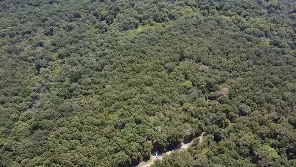 113 Triple Creek, Avery, TX 75554