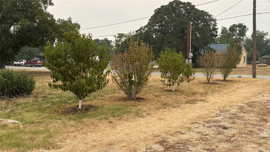 701 W Manchaca Avenue, De Leon, TX 76444 - #3