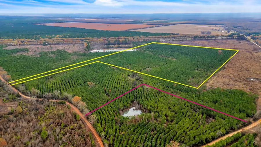 TBD Cr-4308, De Kalb, TX 75559 - #3