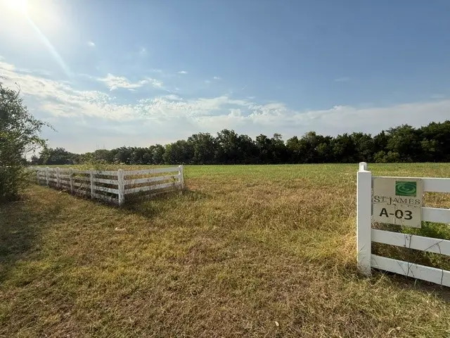 3 St. James Alley, Sunnyvale, TX 75182 - #1
