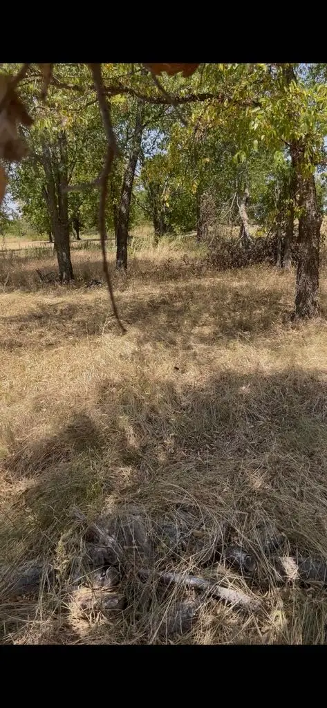 103313 Hillside Circle, Lone Oak, TX 75453 - #1