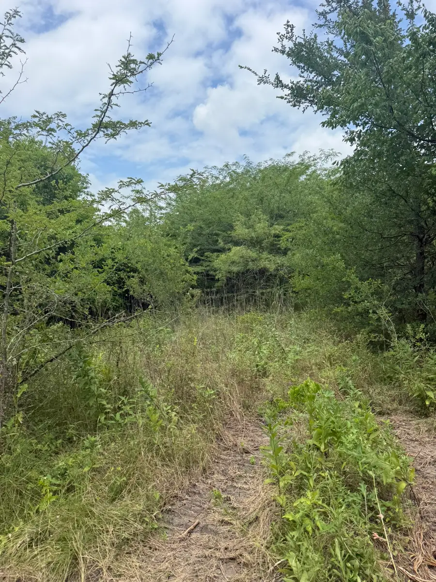 TBD 2 Mcknight, Ellis, TX 75125 - #3