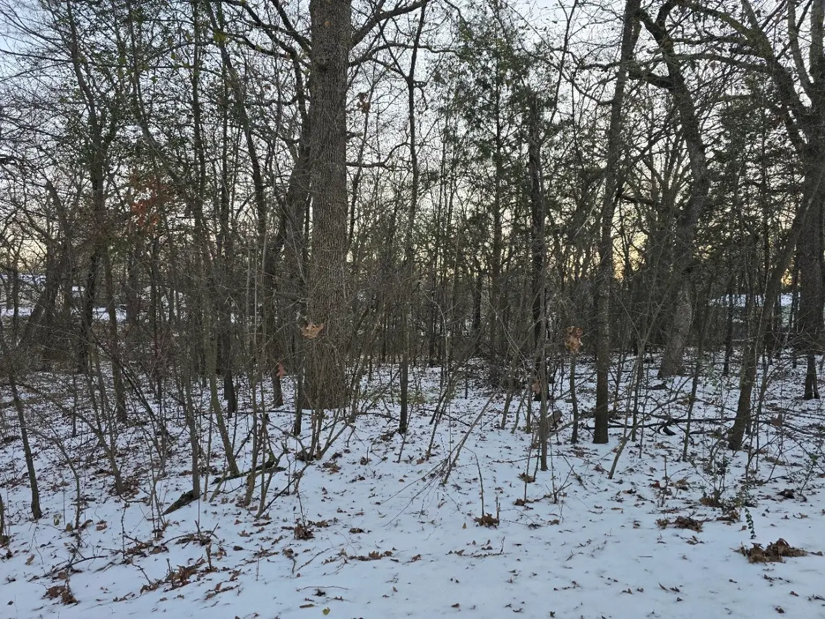 Lot 751 Doe Run Road, Gun Barrel City, TX 75156 - #1
