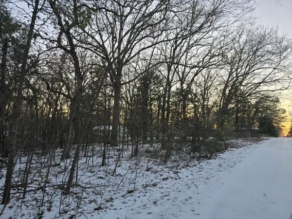 Lot 752 Doe Run Road, Gun Barrel City, TX 75156