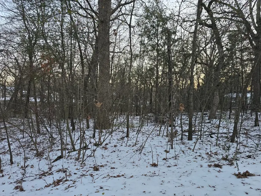 Lot 752 Doe Run Road, Gun Barrel City, TX 75156 - #2