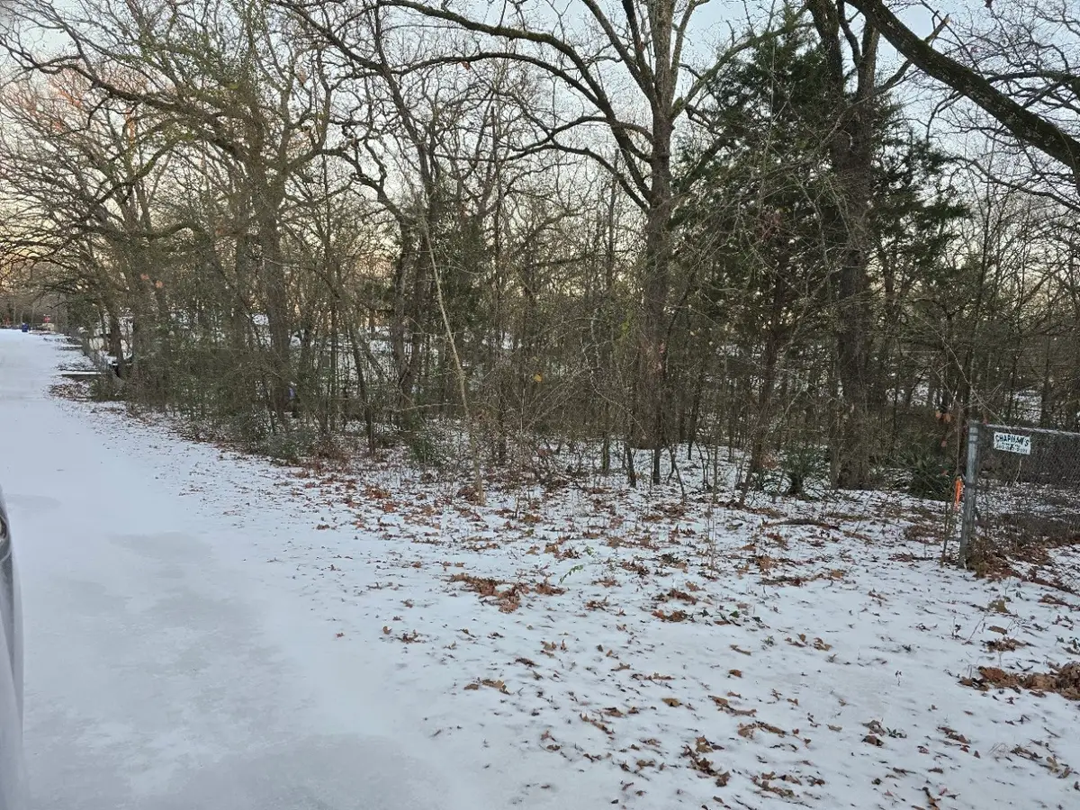 Lot 750 Doe Run Road, Gun Barrel City, TX 75156 - #1