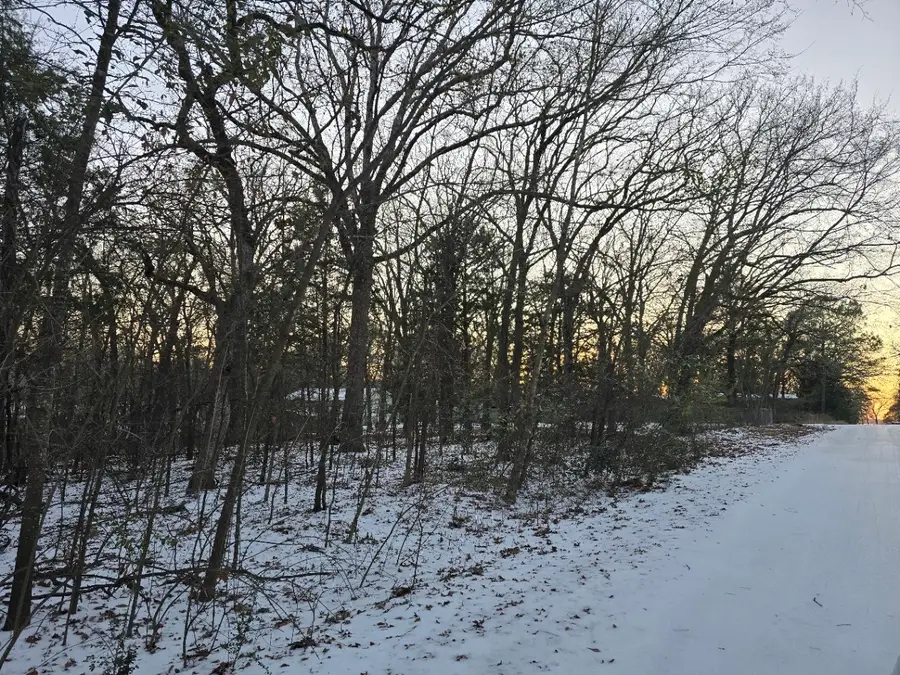 Lot 750 Doe Run Road, Gun Barrel City, TX 75156 - #3