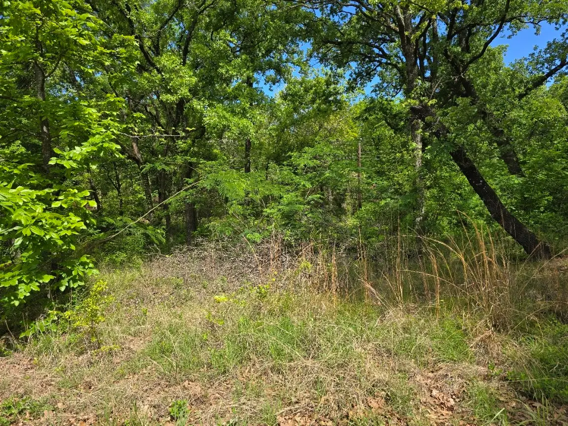 Lot 700 Shady Grove Road, Gun Barrel City, TX 75156 - #1