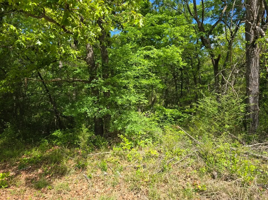 Lot 701 Shady Grove Road, Gun Barrel City, TX 75156 - #1