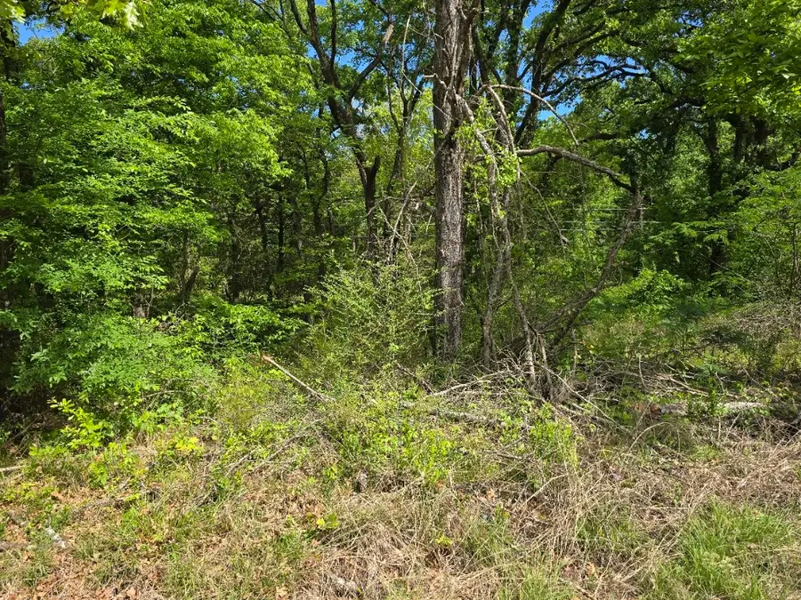 Lot 701 Shady Grove Road, Gun Barrel City, TX 75156 - #2