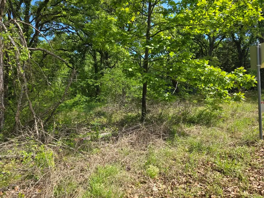 Lot 701 Shady Grove Road, Gun Barrel City, TX 75156 - #3