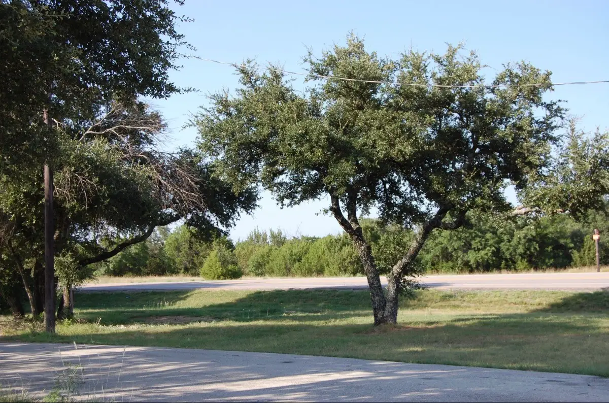 2950 Fm 920 Highway, Weatherford, TX 76088 - #1