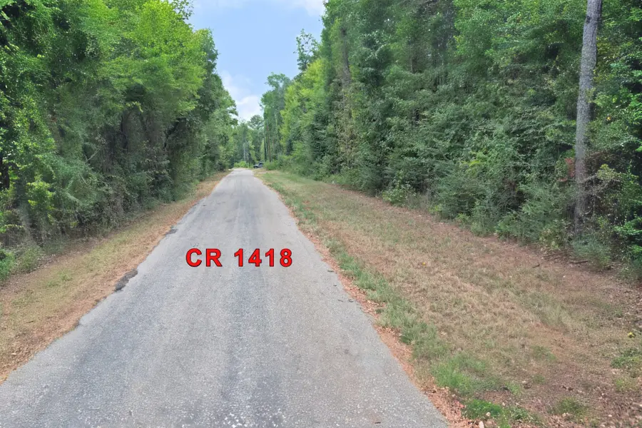 TBD Fm 69, Quitman, TX 75783 - #3