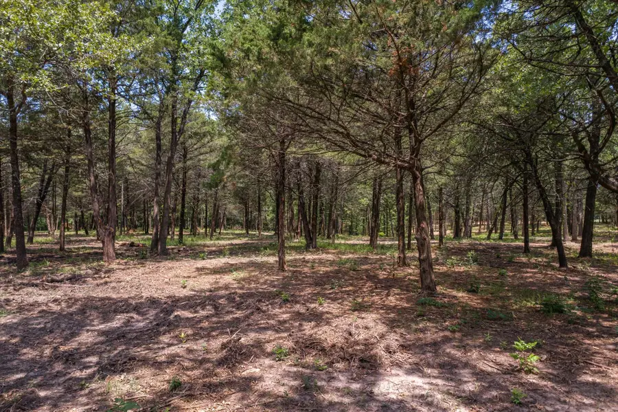 4407 County Road 3706, Wills Point, TX 75169 - #2