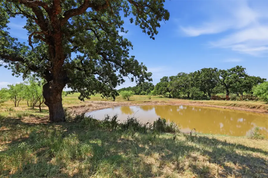 0 County Road 162, Cisco, TX 76437 - #3