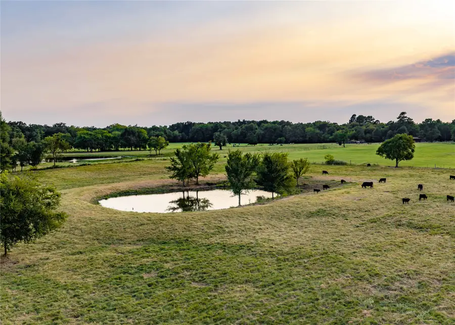 610 County Road 2300, Sulphur Springs, TX 75482 - #3
