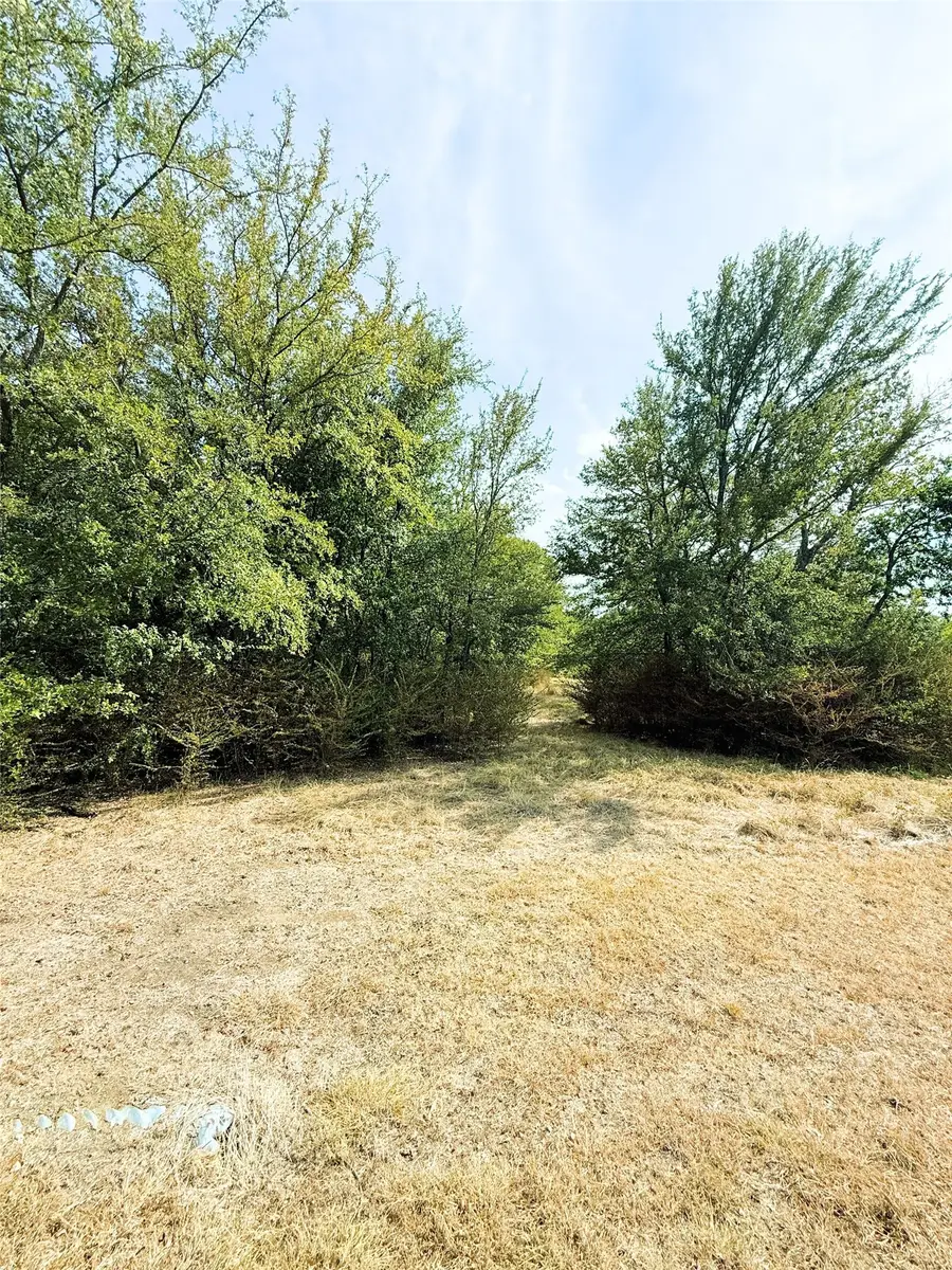 311 Harbor View, Point, TX 75472 - #2