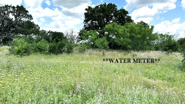 TBD 17 County Road 295, Carbon, TX 76435