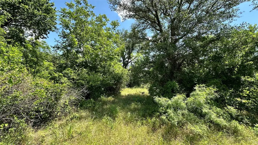 TBD 17 County Road 295, Carbon, TX 76435 - #3