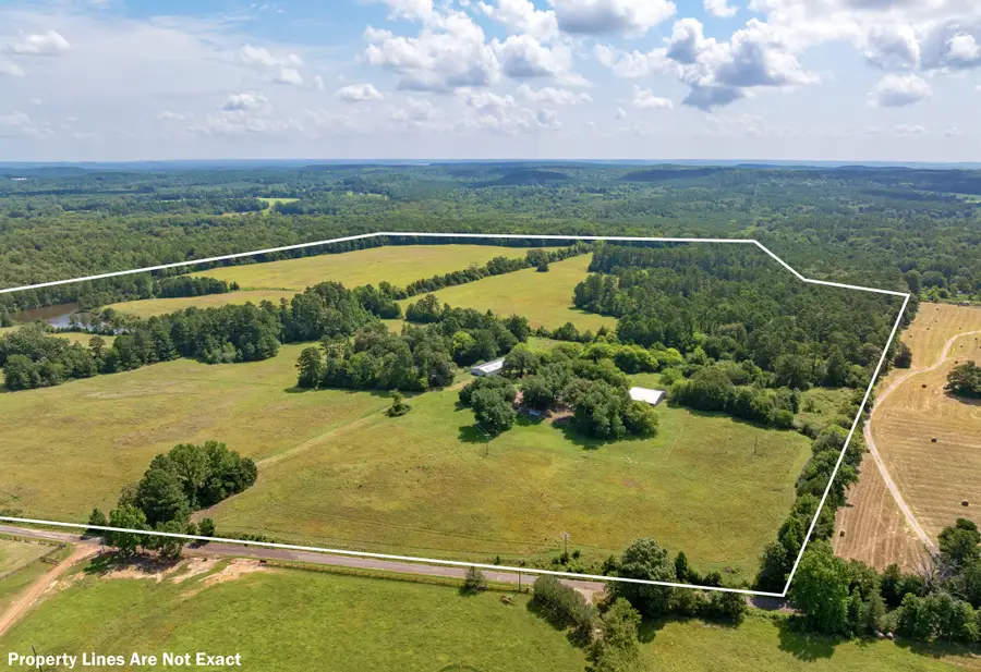 8468 Hydrangea Road, Ore City, TX 75683 - #2