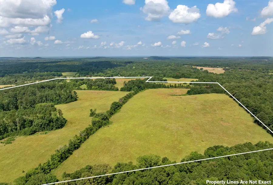 8468 Hydrangea Road, Ore City, TX 75683 - #3