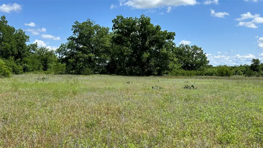 TBD 21 County Road 295, Carbon, TX 76435 - #3