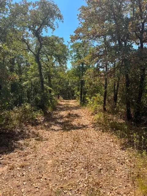 19.09 AC N Mason, Perrin, TX 78486