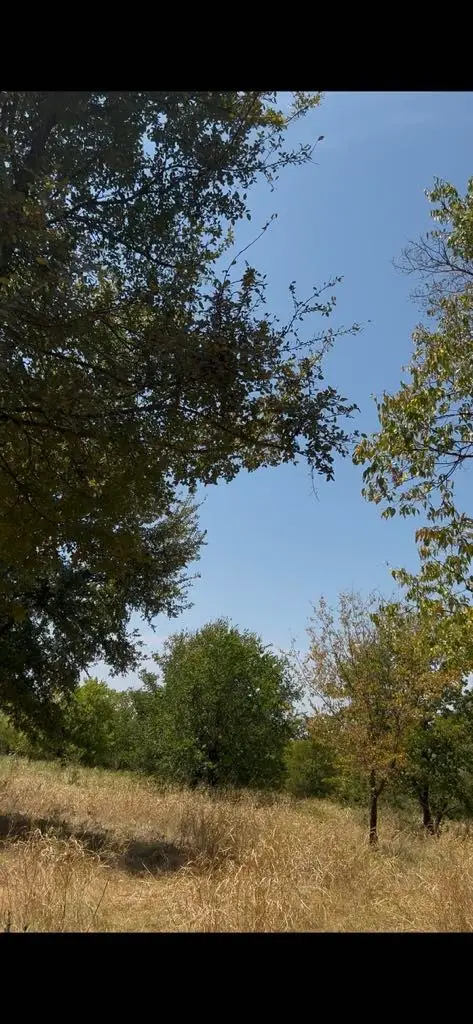 103234 Hillside Circle, Lone Oak, TX 75453