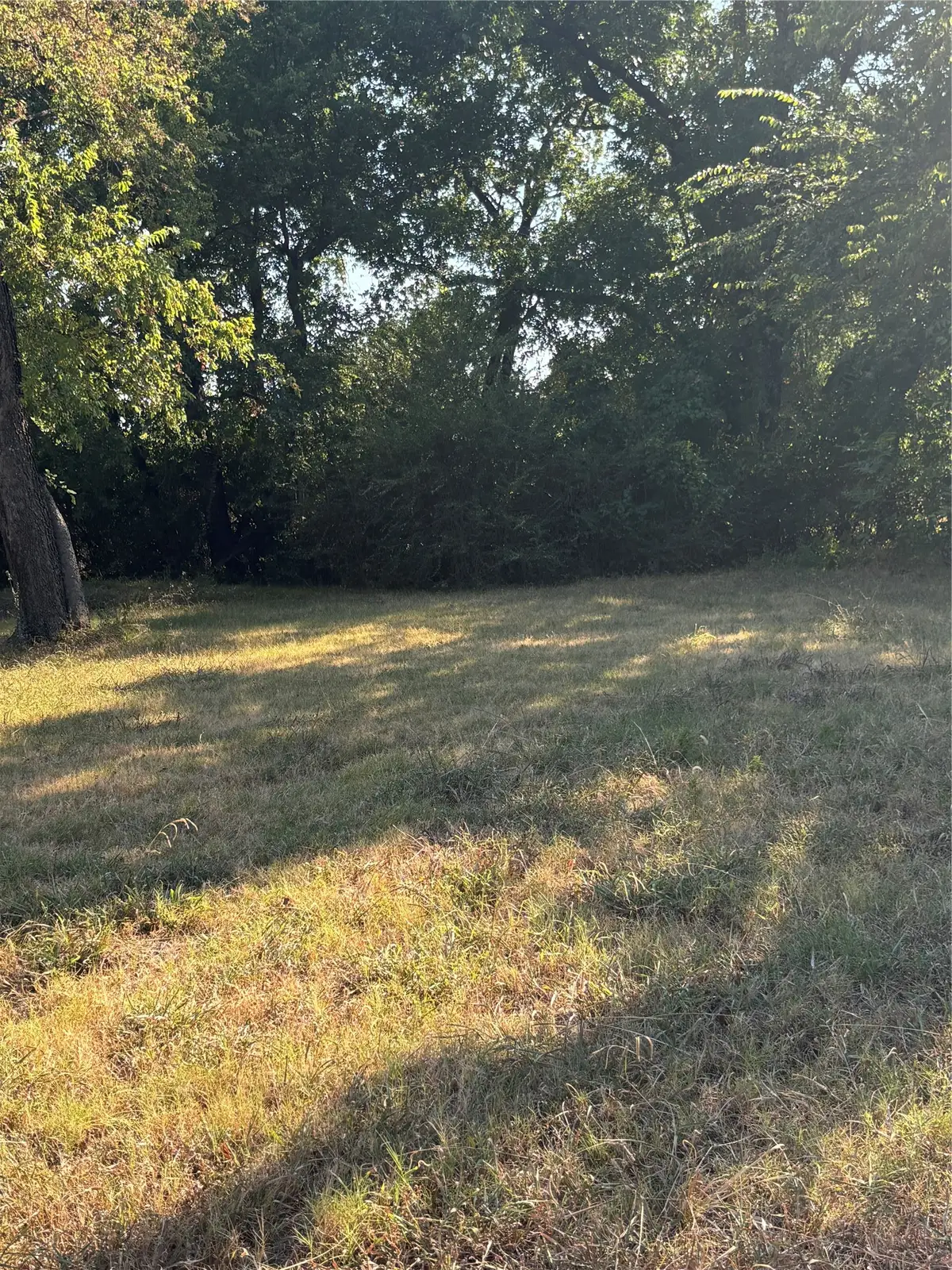 724 Mill Street, Gainesville, TX 76240 - #1