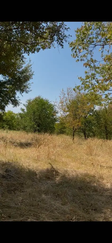 103235 Hillside Circle, Lone Oak, TX 75453 - #1