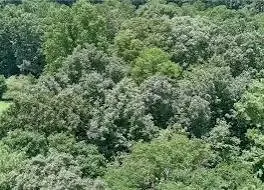 0 Hwy 9, Arcadia, LA 71001