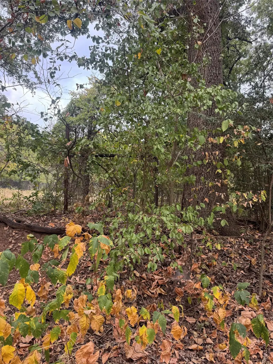 5260 County Road 707, Alvarado, TX 76009 - #2