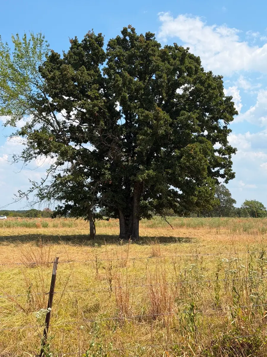 1196 Rs County Road 3220, Emory, TX 75440 - #3