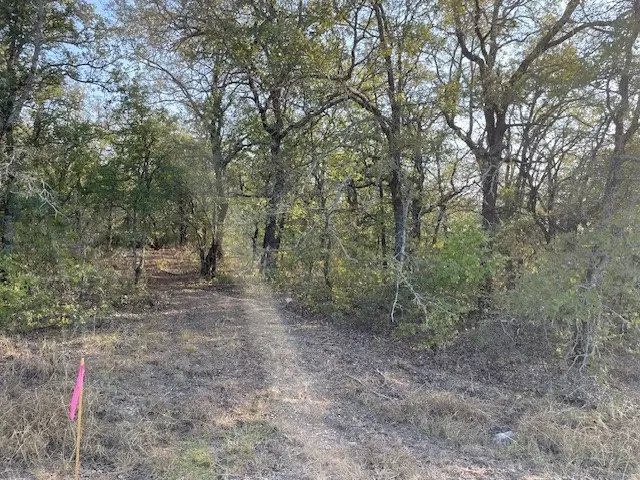 TBD Comewell Court, Runaway Bay, TX 76426 - #3