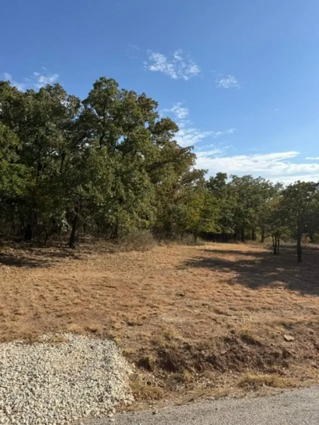 186 Cherokee Trail, Nocona, TX 76255 - #1
