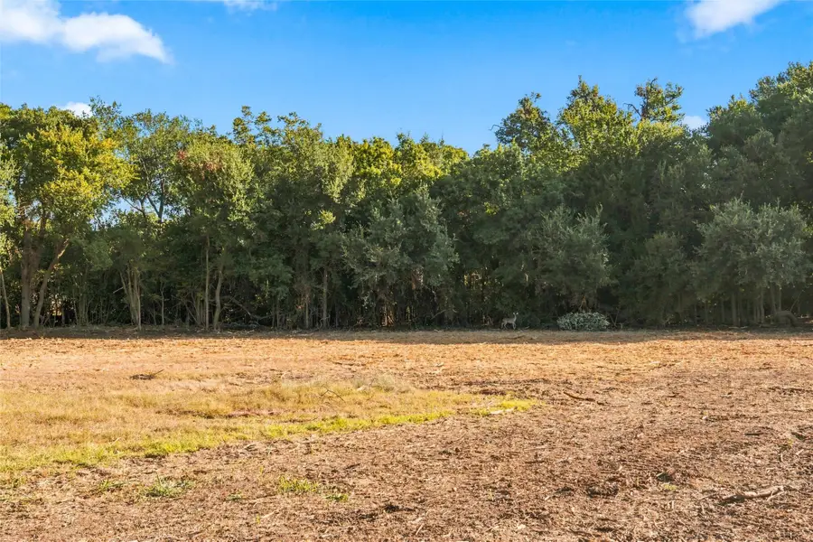 313 N Avenue Q, Clifton, TX 76634 - #3