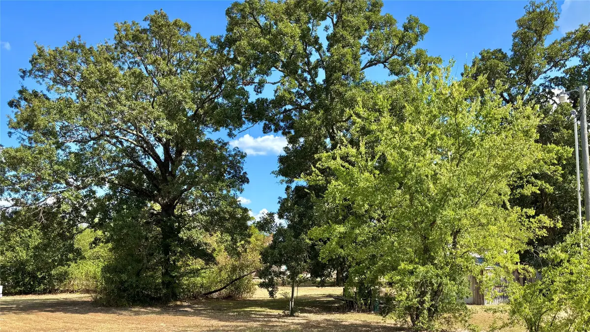 169 Navajo, Quitman, TX 75783 - #1