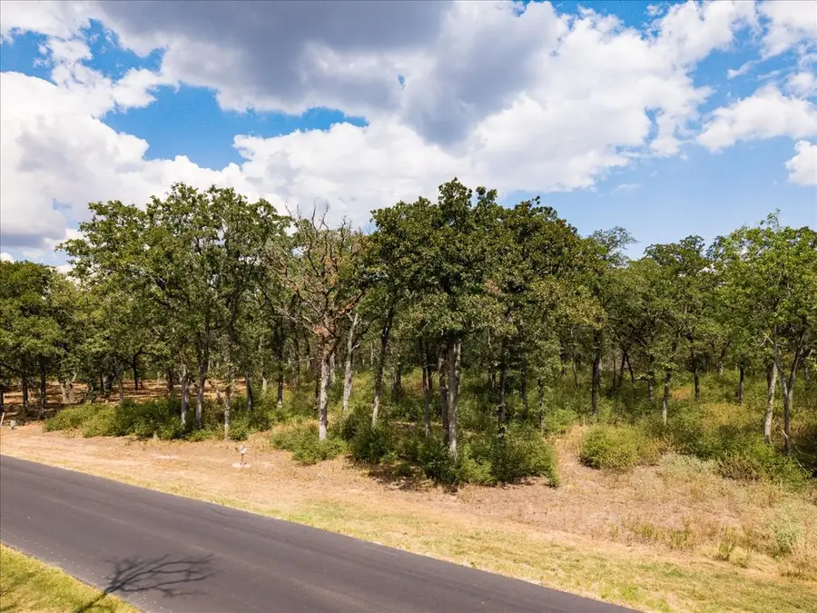 6970 Lakeshore Way, Cedar Creek Lake, TX 75124 - #3
