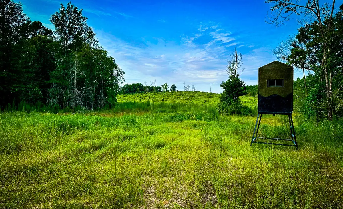 0000 Segno Fire Lane, Livingston, TX 77351 - #1