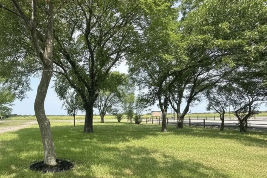 5772 N State Highway 78, Bonham, TX 75418 - #3