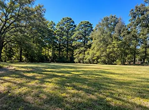 503 Pine Street, Benton, LA 71006 - #2