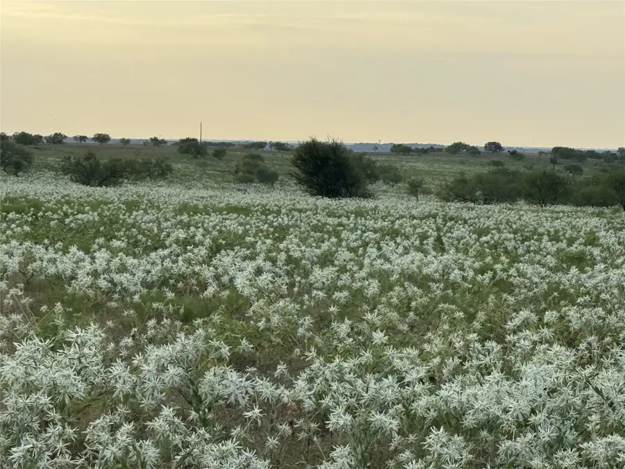 201 Private Road 4512, Decatur, TX 76234 - #3