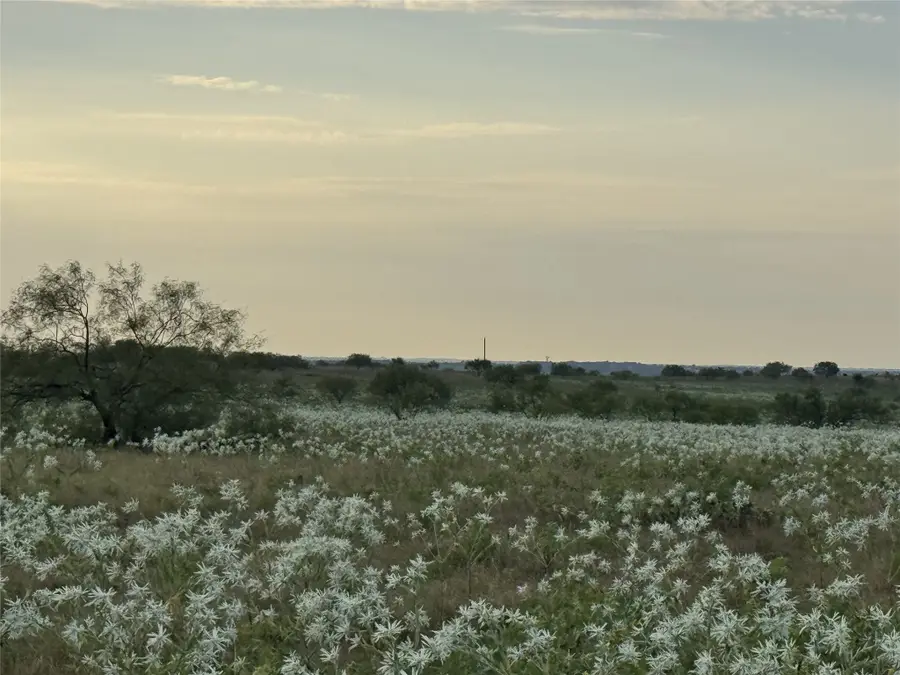 173 Private Road 4512, Decatur, TX 76234 - #2