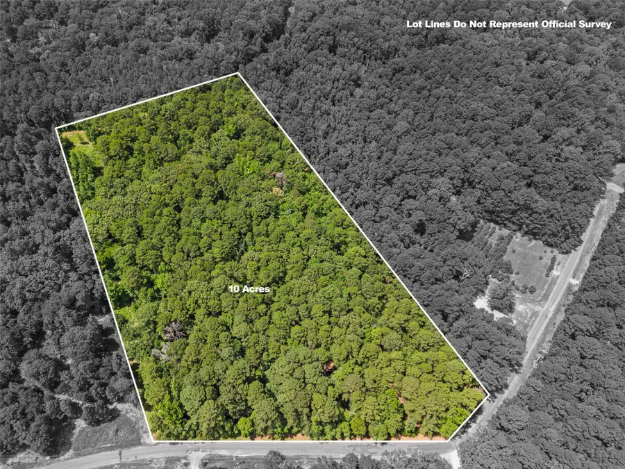 00001 N Cr 1527 N, Avinger, TX 75630 - #3