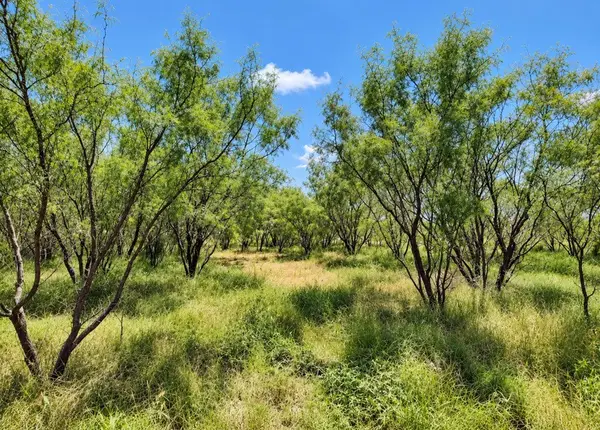 602 County Road 383, Woodson, TX 76491