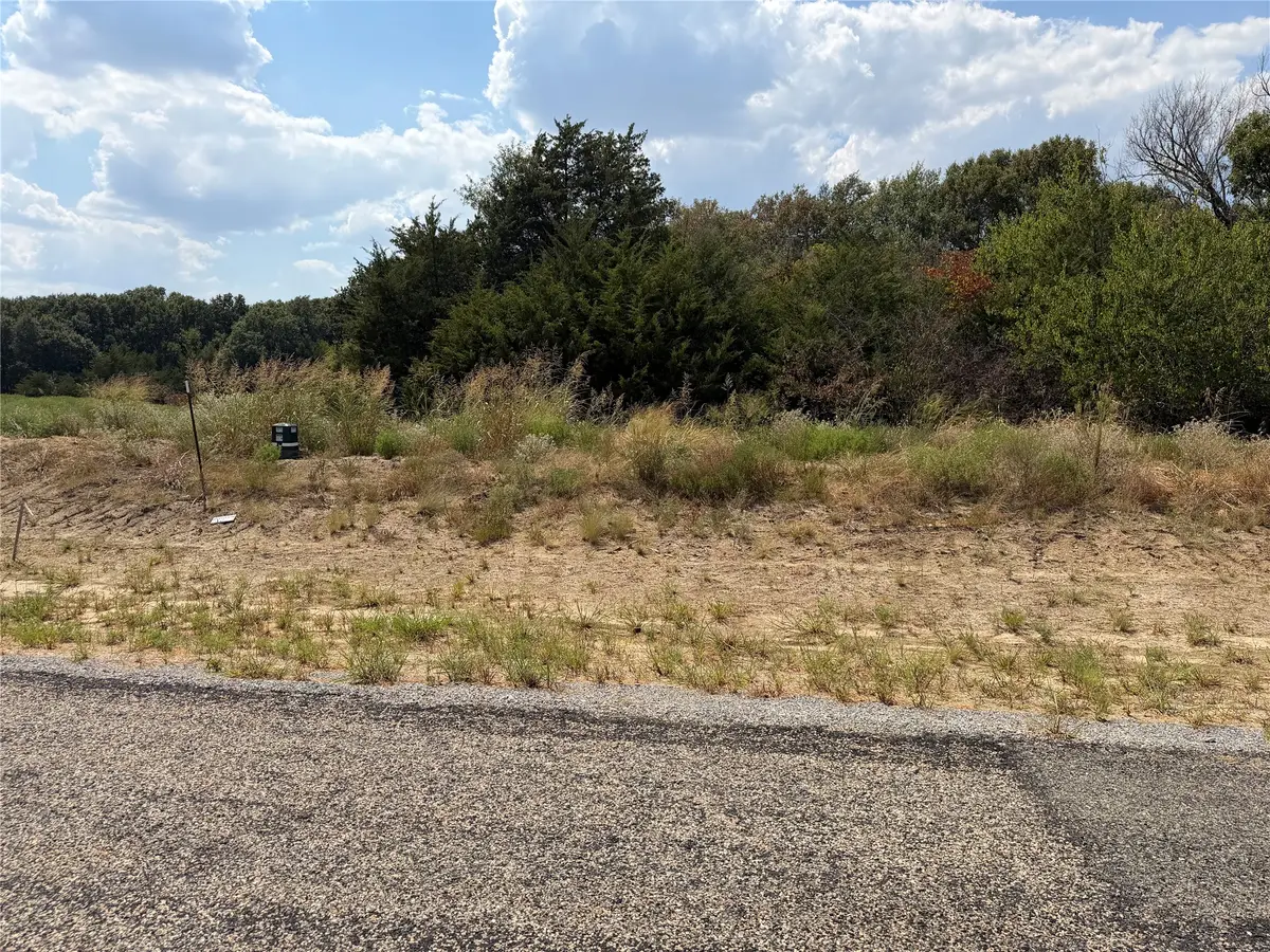 Lot 10 County Road 1110, Farmersville, TX 75442 - #1
