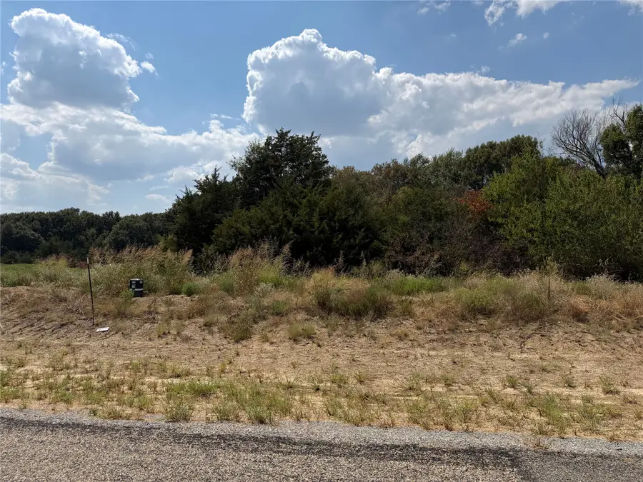Lot 10 County Road 1110, Farmersville, TX 75442 - #3