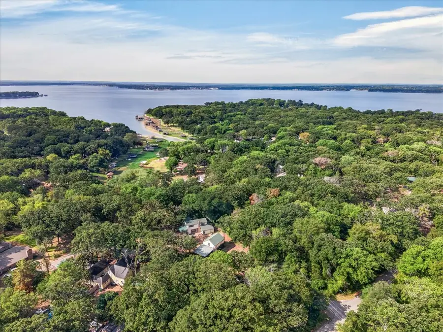 110 Hidalgo Loop, Payne Springs, TX 75156 - #2